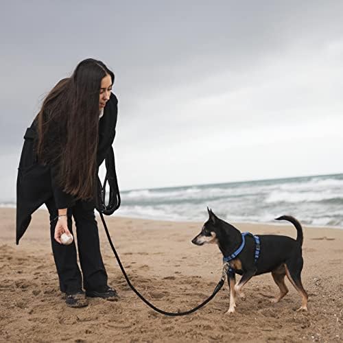אלופון 6 רגל כלב רצועה, חזק ניילון קלוע חבל כלבים רצועות עם רך עור ידית 360 סיבוב מתכת וו,עמיד למים