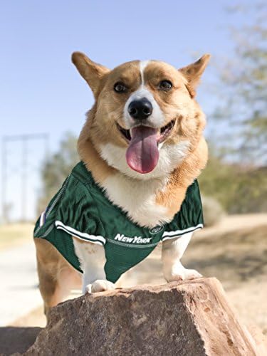 ניו יורק ג 'טס כלב ג' רזי, גודל: גדול. תחפושת ג ' רזי כדורגל הטובה ביותר עבור כלבים & מגבר; חתולים. חולצת