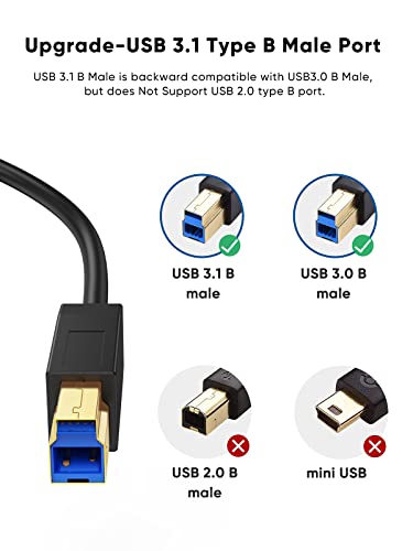 CableCriation USB 3.1 C ל- USB B כבל 4ft 2pack, כבל מדפסת USB USB B ל- C 10GBPs עבור Thunderbolt 3 מארח