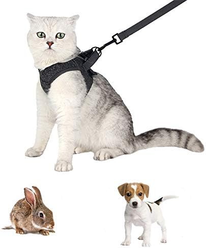 חתול רתם & מגבר; רצועה עם קל במיוחד לברוח הוכחה חתלתול צווארון חתול הליכה מעיל עבור גורים ארנבים