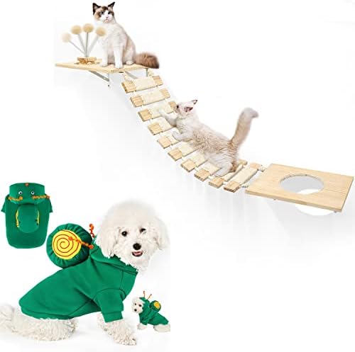 חתול קיר הר גשר & חמוד חילזון ירוק כלב נים