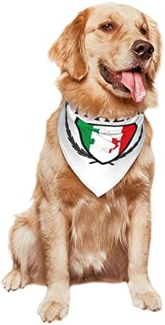כלב בנדנות איטליה איטליה איטלקי דגל לחיות מחמד בנדנה צעיף משולש ליקוק מטפחת אביזרי לכלבים חתולים