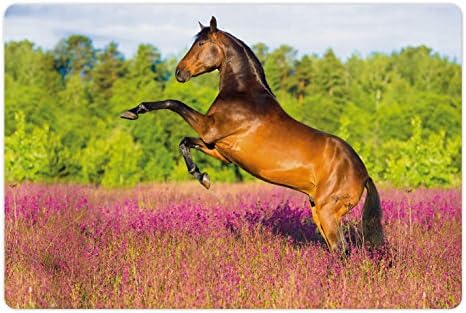מחצלת חיות מחמד לסוסים למזון ומים, גידול סוס מפרץ חזק בעצי שדה כפריים פורחים בקיץ, מחצלת גומי