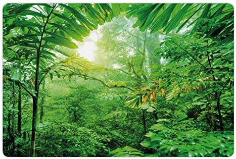 מחצלת חיות מחמד טבעית למזון ומים, יער גשם ירוק טרי בפארק הלאומי של קוסטה ריקה צילום ג ' ונגל טרופי
