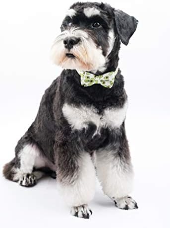 צווארון כלבים של Gyapet עם עניבת פרפר גור גור נער וילדה דפוס חמוד מתכוונן