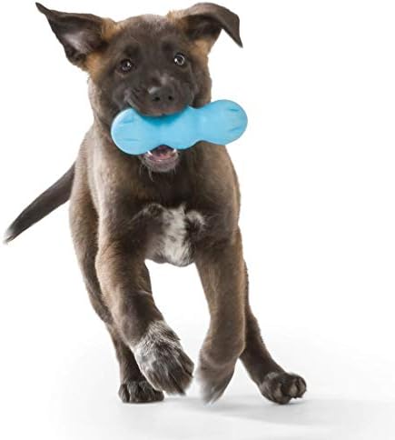 West Paw Zogoflex Rumpus Dog Chew צעצוע & Zogoflex Qwizl Puzzle Faxle Treat Toy - צעצוע לעיסה אינטראקטיבי