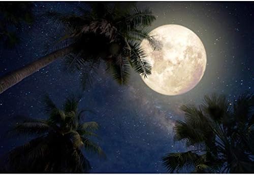 יונגפוטו 12 על 8 רגל קיץ רקע לילה מואר ירח עצי דקל טרופיים חצות ירח בהיר שמי זרועי הכוכבים לילה רומנטי