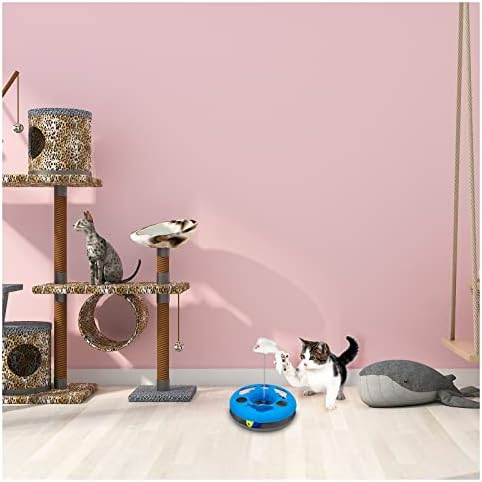 צעצוע חתול אינטראקטיבי של Andiker, מסלול מעגל עכבר עם 1 פטיפון בכדור זזת פטיפון וחתך עכבר, פטיפון ספורט אינטלקטואלי,