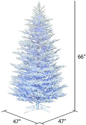 Vickerman 5.5 'x 47 עץ חג המולד מלאכותי של אורן ארז נוהר, LED LED טהור לבן וכחול זווית רחבה 3