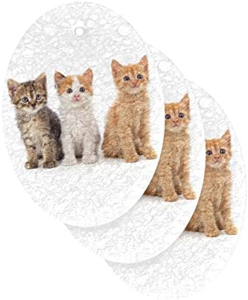 Alaza חתולים חמודים חתול חיה חיה ספוגית טבעית ספוג מטבח תאית תאית למנות שטיפת אמבטיה וניקוי משק בית, שאינו מגרש