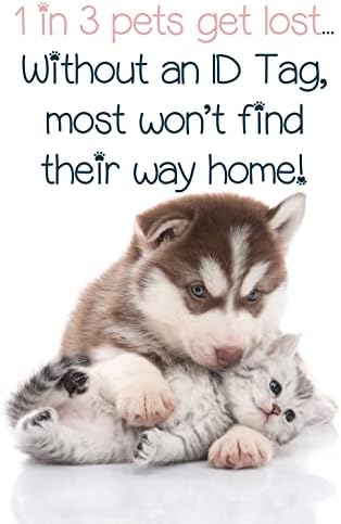 תג זיהוי לחיות מחמד פומות מדינת וושינגטון לכלבים & מגבר; חתולים / רישיון רשמי / אישית עבור חיית המחמד שלך