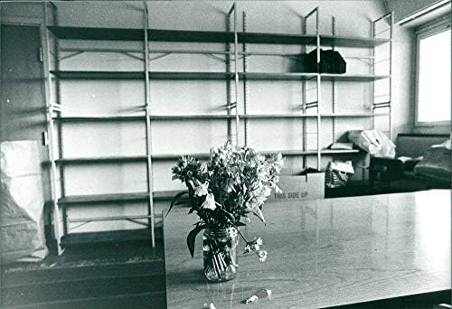 תצלום וינטג 'של מזכירת המחלקה מוניקה פדרסן 39; חדר ריק ממש כמו על הפרחים על שולחן FOA.