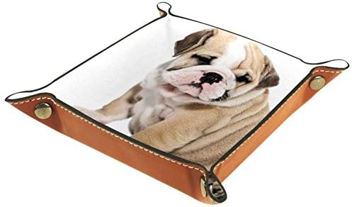 Lorvies בריטי בול כלבים גורי אחסון קופסאות קוביית סל קוביית פחי מכולות למשרד