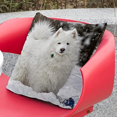 חבילת טבובט של 2 כיסויי כריות קטיפה, מארז כרית כרית מרובעת למיטת ספה, כלב סמוי חיה בשלג