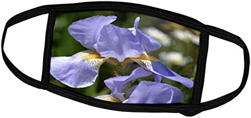 3 רוז נ. ב. פרחים-די לבנדר איריס פרחים - אביב גן פרחוני-מסכות פנים