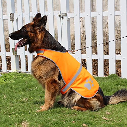 הידו כלב אפוד רפלקטיבי מעיל בטיחות נראות גבוהה להליכה בהליכה לטיולים כדי לשמור על כלבים נראים בטוחים