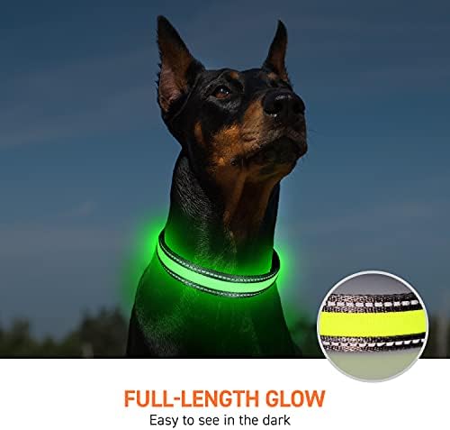 צווארון כלבים LED LED, ניילון נטען נטען צווארוני כלבים, צווארוני LED זוהרים של חיית מחמד לכוונון לכלבים קטנים