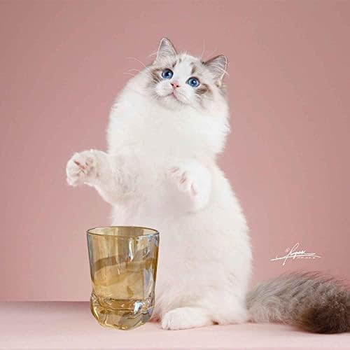 14 אוזקט כוס כפה, חתול זהב כף חתול כוס טופר כוס חלב כוס כוס כוס כוס כוס חתול חמוד טופר דפסת ספל חתול כפה לקפה כוסות