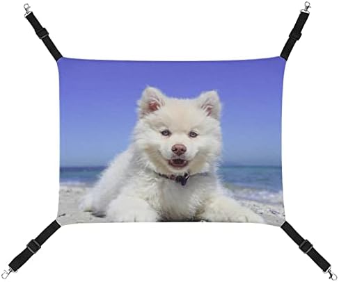 חתול כלוב ערסל לבן כלב מחמד נדנדה מיטת מתאים כלוב כיסא רכב מקורה חיצוני 16.9& 34; איקס13