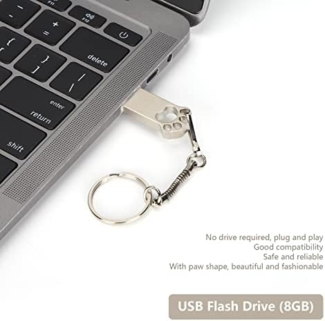 כונן הבזק USB, צורת פאו של דיסק פלאש לשימוש בעסקים או משרדים למחשב נייד מחשב