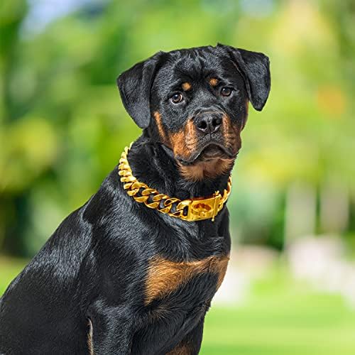 בוס טווקאן כלב קישור קישור צווארון כלבים שרשרת זהב עם עיצוב אבזם מאובטח