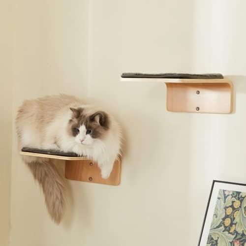 מיטת קיר חתול פינתית עם 2 מדרגות חתול צמודות לקיר