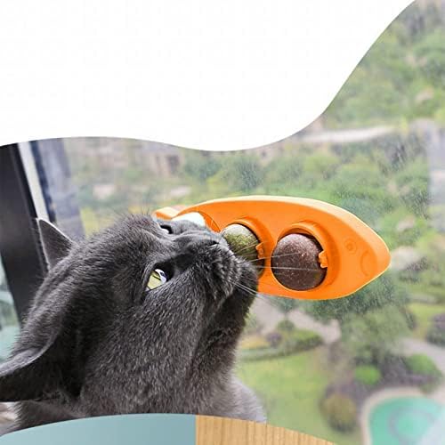 כדור צעצוע של Catnipa כדור פירות סיבוב שיניים טוחנות ניקוי עץ טיאנליאו חתול צעצוע עצמי לחתולים