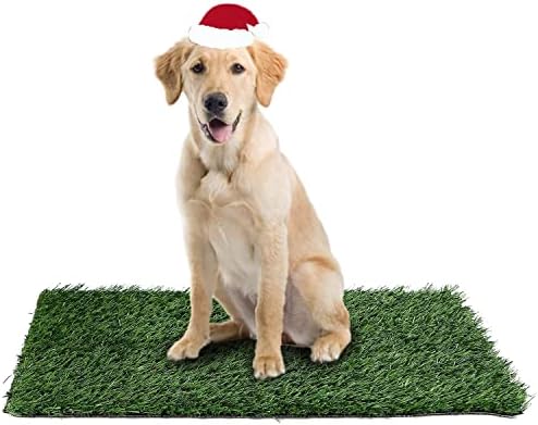 כרית גור דשא מלאכותית של קוקאסו לכלב, כרית פיפי דשא לחיית מחמד, עשב פיפי מקורה לסיר כלבים, מחצלת עשב