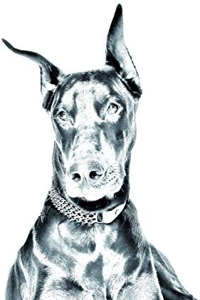 דוברמן, מצבה סגלגלה מאריחי קרמיקה עם תמונה של כלב