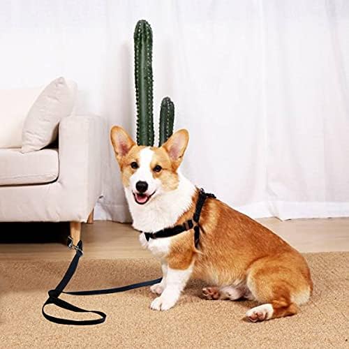 SEPXUFORE 6 Foot קושרים רצועת כלב ניילון, חובה כבדה 1 עופרת עבה רפלקטיבית רחבה לכלבים גדולים בינוניים