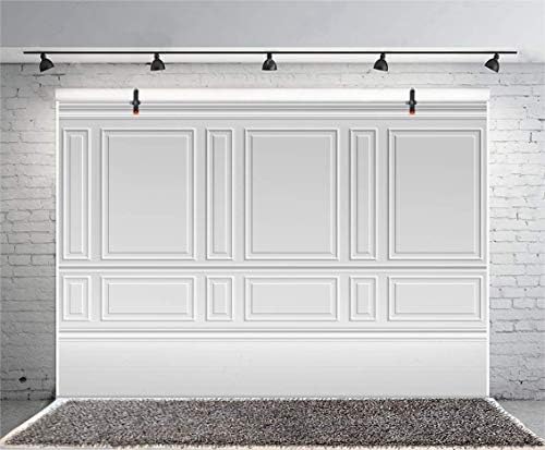 חדר ריק אדריכלי אפור חיוור רקע קיר ויניל 12 על 8 רגל רקע צילום פנל בסגנון קלאסי בתים דירות פנים