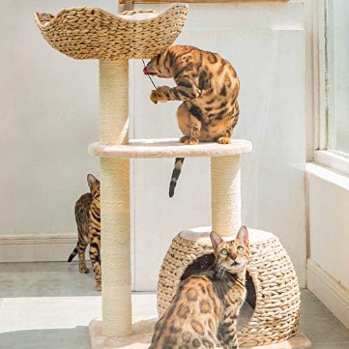 מגרדים עמדות חתול דירות מגדל חתול מגדלים מגדלי חתול עצי חתול ארוגים מסגרת טיפוס מסגרת חתול, פלטפורמת