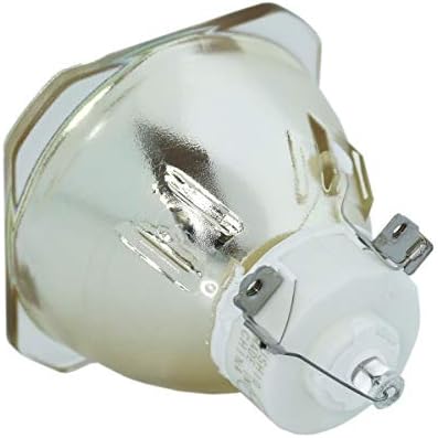 Lytio Premium עבור NEC NP26LP LAMP LAMP 100013748