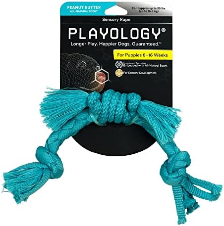 צעצועי גור של פלייולוגיה להתפתחות חושית, חילזון חושי - צעצועי כלב קמטים ממולאים עם חריקת גורים 8-16