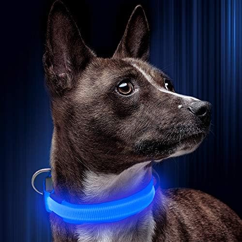 Illumifun LED צווארון כלבים, צווארון בטיחות חיות מחמד ניילון מתכוונן, צווארוני בטיחות חיות מחמד מתכווננים,