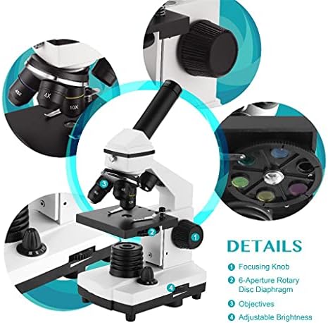 64-640 מיקרוסקופ ביולוגי מקצועי למעלה / למטה מיקרוסקופ חד-עיני לסטודנטים לחינוך ילדים עם שקופיות