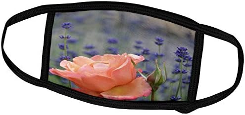 3 רוז נ. ב. פרחים-אפרסק עלה עם לבנדר - פרחים יפים - גן רומנטי-מסכות פנים
