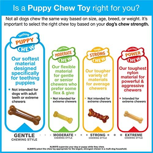 נילבון נופש פטיט ירוק עצם המשאלות של כלב כלב צעצוע לעיסה, טעם מנטה