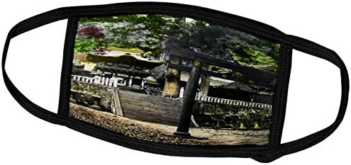 סצינות 3 דרוזים מפנס הקסם בעבר - שער המקדש היפני וינטג 'ניקו טוצ'יגי מחוז קסם פנס - מסכות פנים