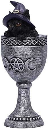 Nemesis עכשיו Coven Cup, כסף, 15.7 סמ