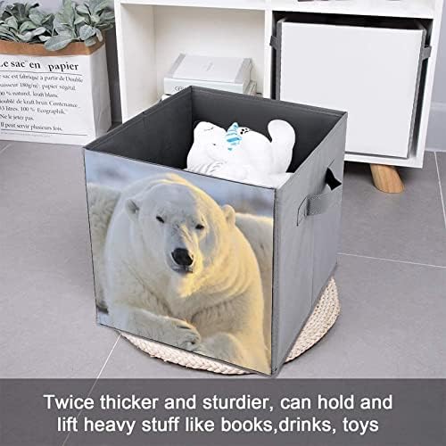 דוב קוטב תמונות מתקפל אחסון פחי מתקפל קופסות בד קוביית פשוט ארגונית עם ידיות לבית שינה בגדי צעצועי ספרים