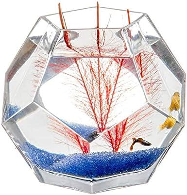 פאון אישית דגי טנק שולחן עבודה יצירתית זכוכית דגי טנק טרופי דגי טנק עיבוי