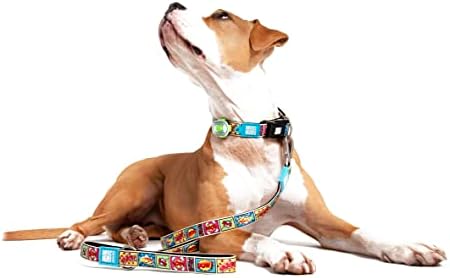 מקסימום ומולי כלבים צווארון LED אור, ציוד הליכה, נטענת USB, לכלבים קטנים, בינוניים, גדולים, אורות בטיחות בהירים