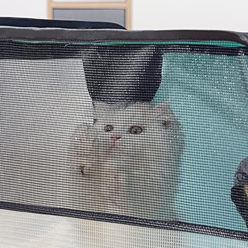פלורלבי חתול מייבש כלוב לשימוש חוזר לחיות מחמד אמבטיה יבש חדר קל משקל