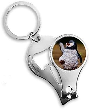 יצור אנטארקטיקה חמוד פינגווין מדע טבע ציפורניים ניפר טבעת מפתח פתיחת בקבוקי שרשרת