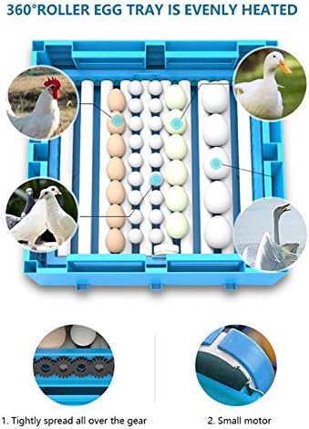 חממת ביצים שקופה דיגיטלית עם סיבוב ביצים אוטומטי ולחות ובקרת טמפרטורה לד קנדלר לתרנגולות ברווזים ציפורי אווז