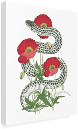 סימן מסחרי אמנות יפה 'פרח דודה השראה IV' אמנות בד מאת תיק תפוחים פראי 24x32