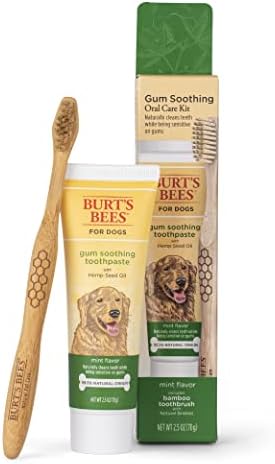 ברט של דבורים לכלבים טיפול + אוראלי טיפול ערכת, מסטיק מרגיע כלב משחת שיניים עם קנבוס זרעי שמן במבוק כלב מברשת שיניים