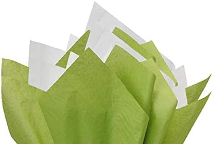 לחגוג הבא הדר ירוק ולבן מתנה לעטוף פום פום רקמות נייר לערבב עם 12 כדי מ מתנה תגים