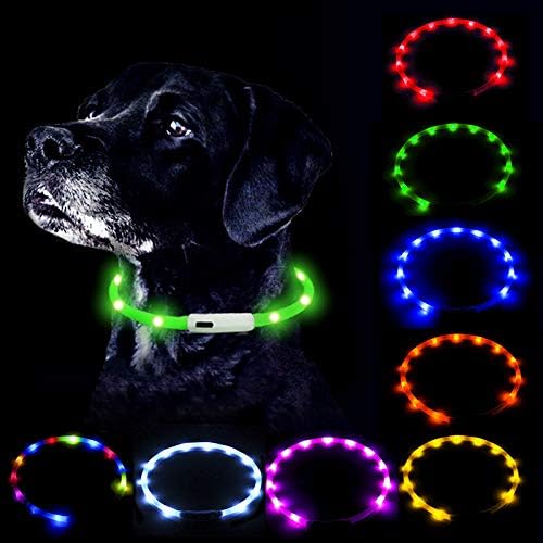 DogCollars jom LED צווארון כלבים, USB נטען, זוהר בחושך הופך את הכלב שלך לגלוי לבטוח.